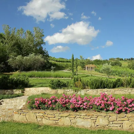 Casa de Férias Bright Holiday In With Swimming Pool Modigliana